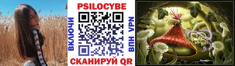 Псилоцибиновые грибы MAGIC MUSHROOMS  купить  цена  Волхов 