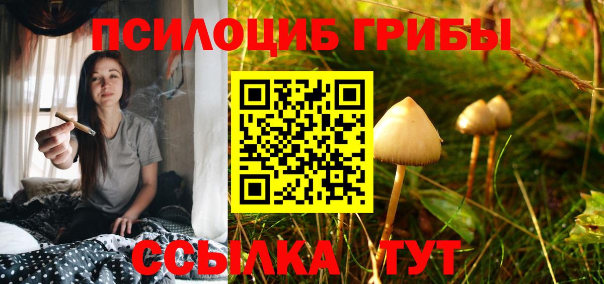 Псилоцибиновые грибы мухоморы Волхов